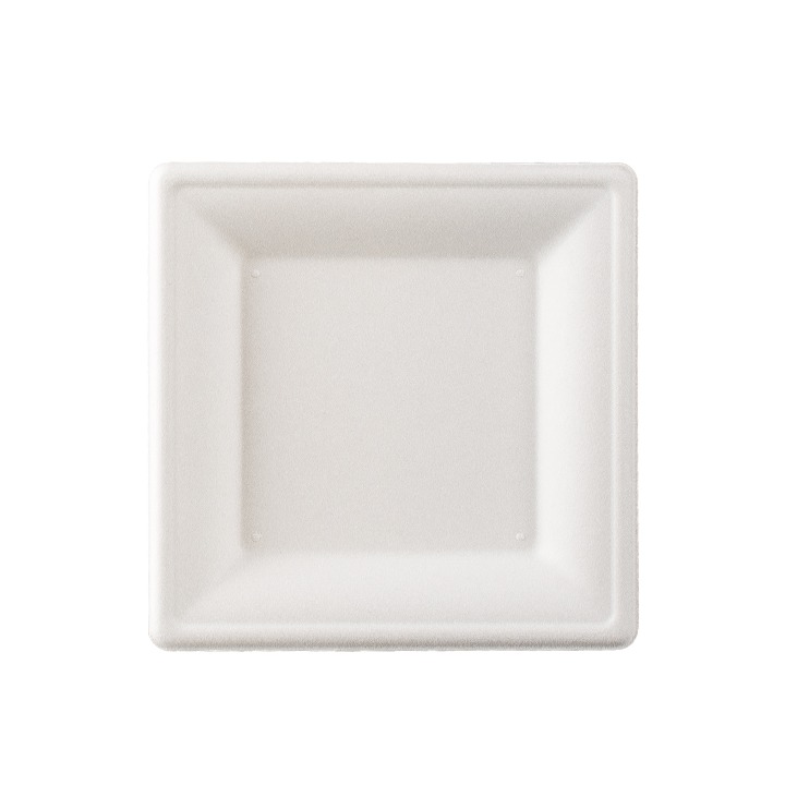 Sugarcane Plate - Square Plate
